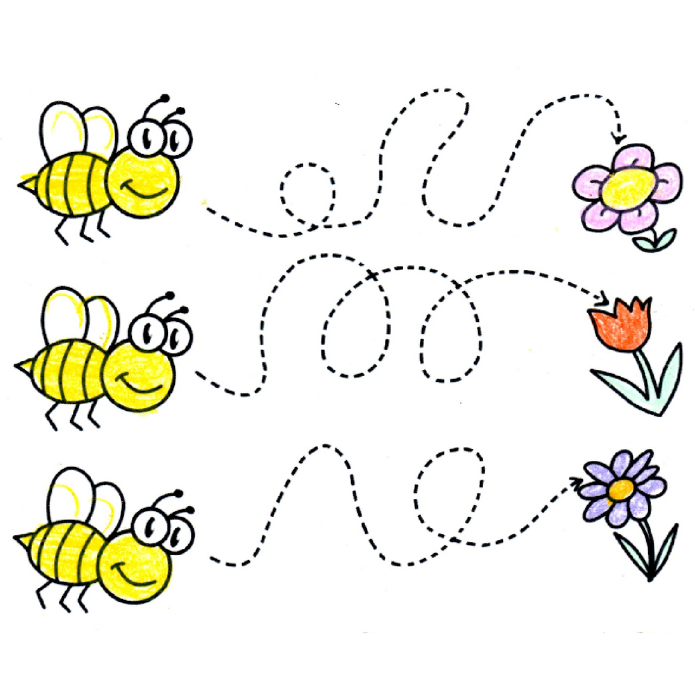 Printable PDF Bee Lesson: Pre-Writing and Number Activities - Ms ...